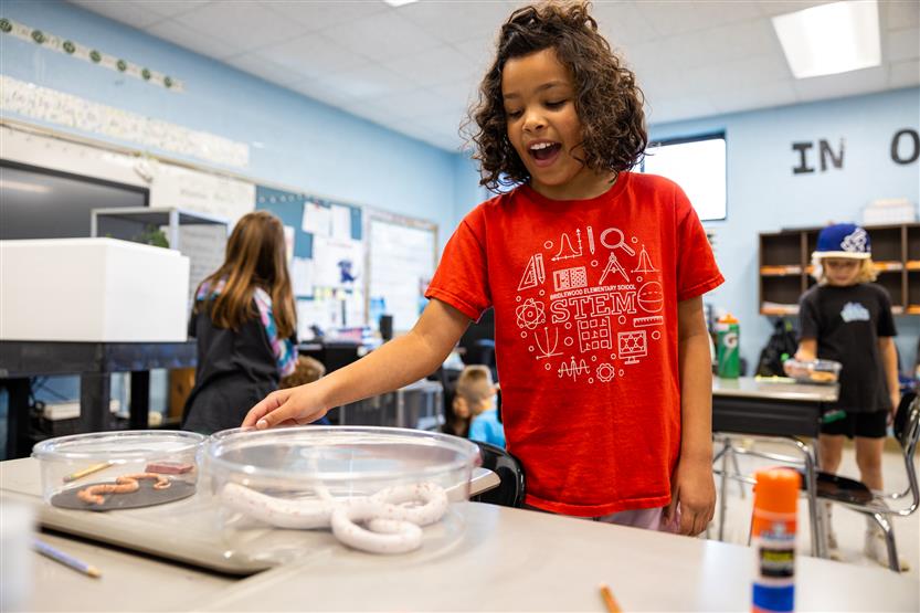 Students study reptiles